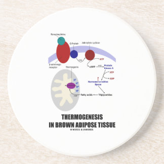 Thermogenesis in Fettgewebe Browns Untersetzer