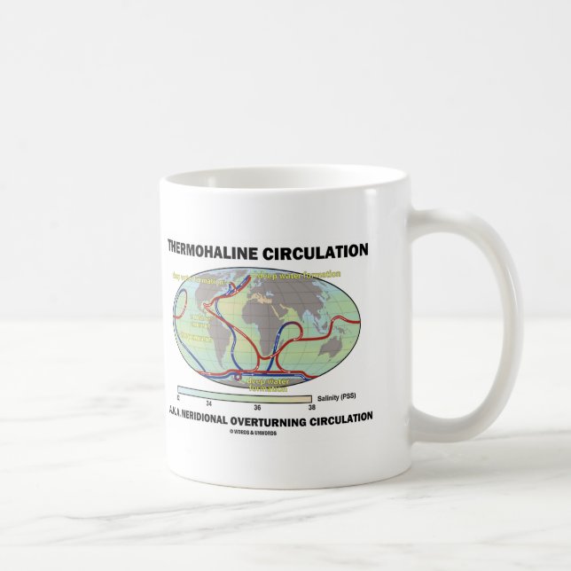 Thermohalinzirkulation (Meridionale Umdrehung) Kaffeetasse (Rechts)