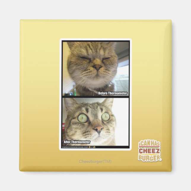 Thermometer Magnet (Vorne)