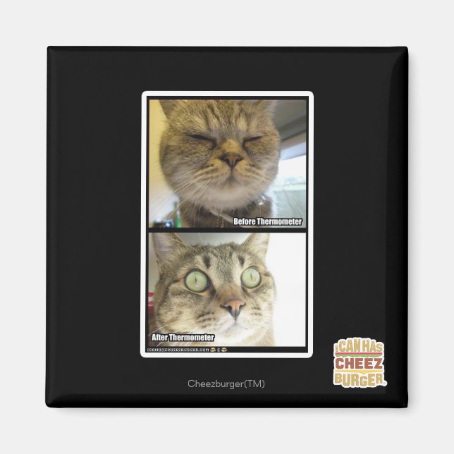 Thermometer Magnet (Vorne)