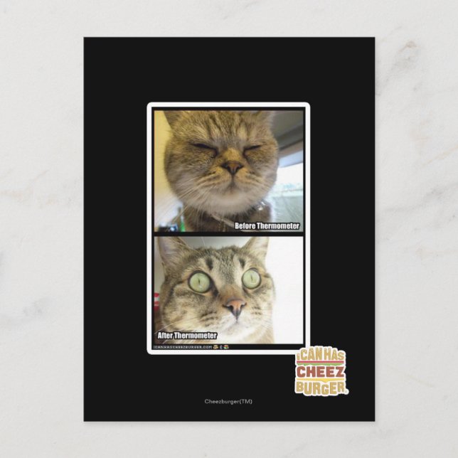 Thermometer Postkarte (Vorderseite)