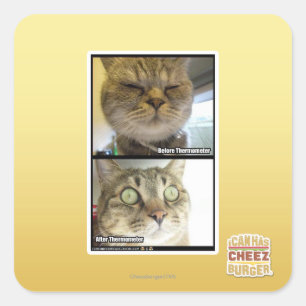 Thermometer Quadratischer Aufkleber