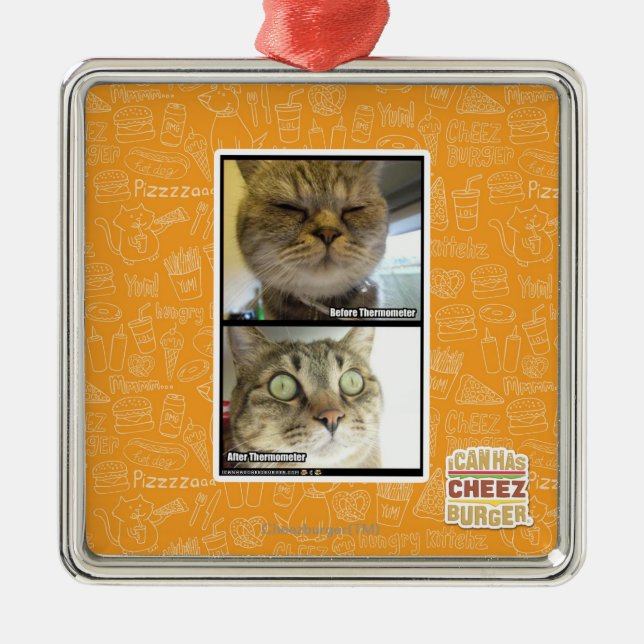 Thermometer Silbernes Ornament (Vorne)