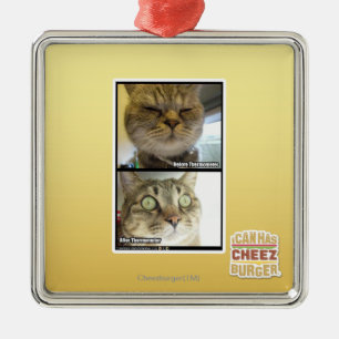 Thermometer Silbernes Ornament