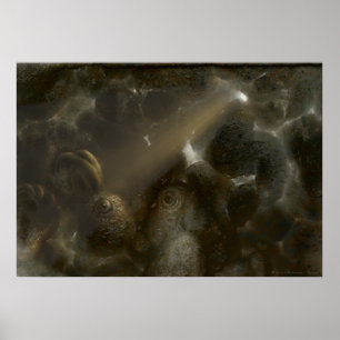 Therone Seltsame Höhle Poster