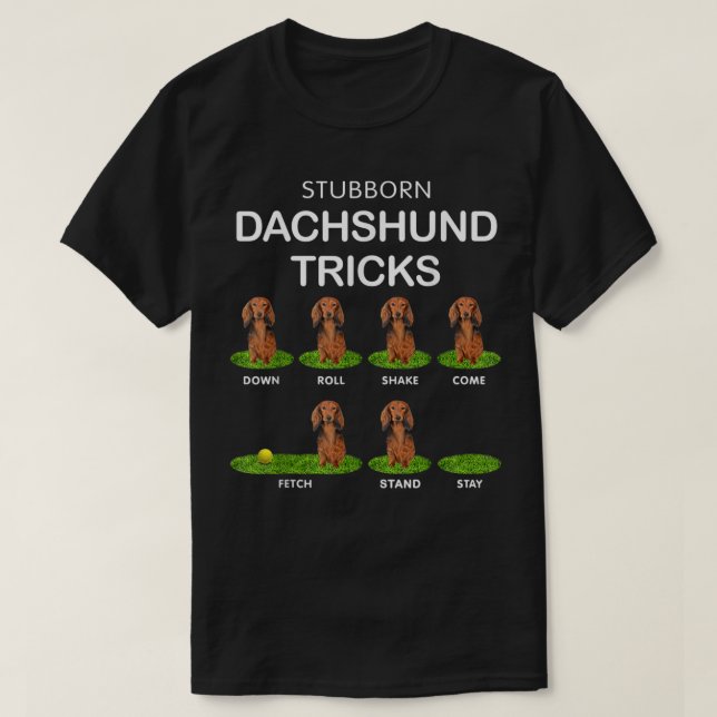 Thick Headed Dog - Funny Long Hair Dachshund for C T-Shirt (Design vorne)