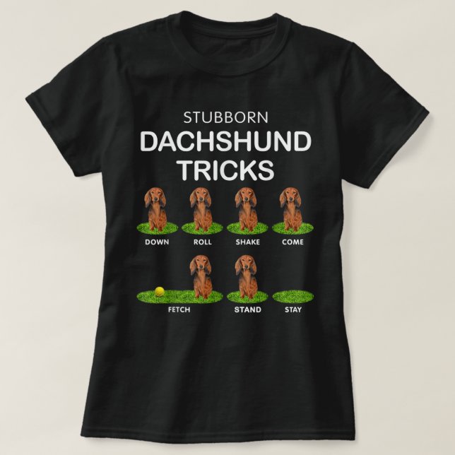 Thick Headed Dog - Funny Long Hair Dachshund for C T-Shirt (Design vorne)