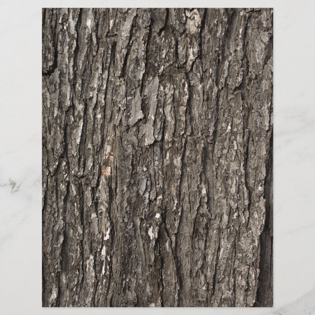 Thick Tree Bark (Vorderseite)