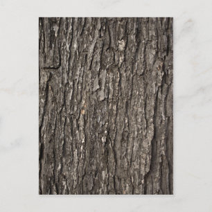 Thick Tree Bark Postkarte