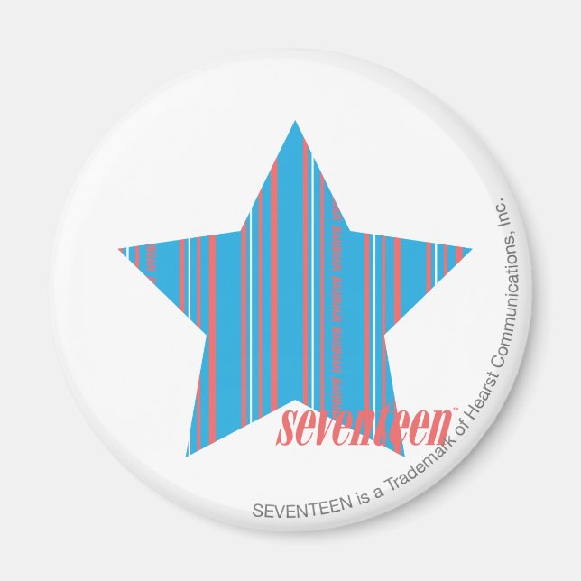 Thin Stripes Aqua 2 Magnet (Vorne)