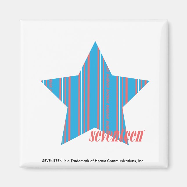 Thin Stripes Aqua 2 Magnet (Vorne)