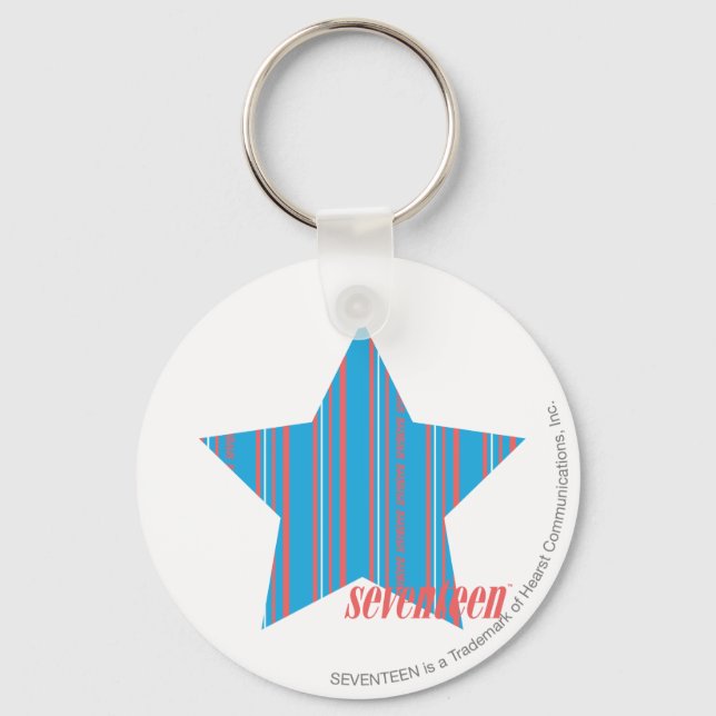 Thin Stripes Aqua 2 Schlüsselanhänger (Vorderseite)