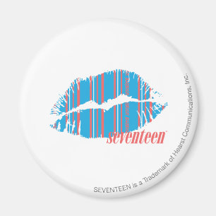 Thin Stripes Aqua Magnet