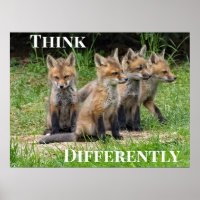  Think Differently Fox