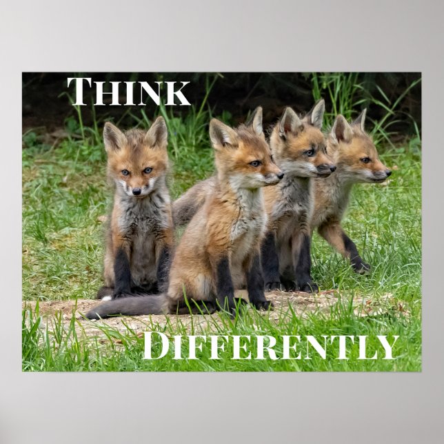  Think Differently Fox Poster (Vorne)