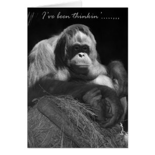 Thinkin gewesenes Ive