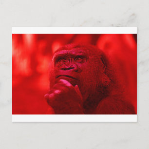 Thinking Gorilla Postkarte