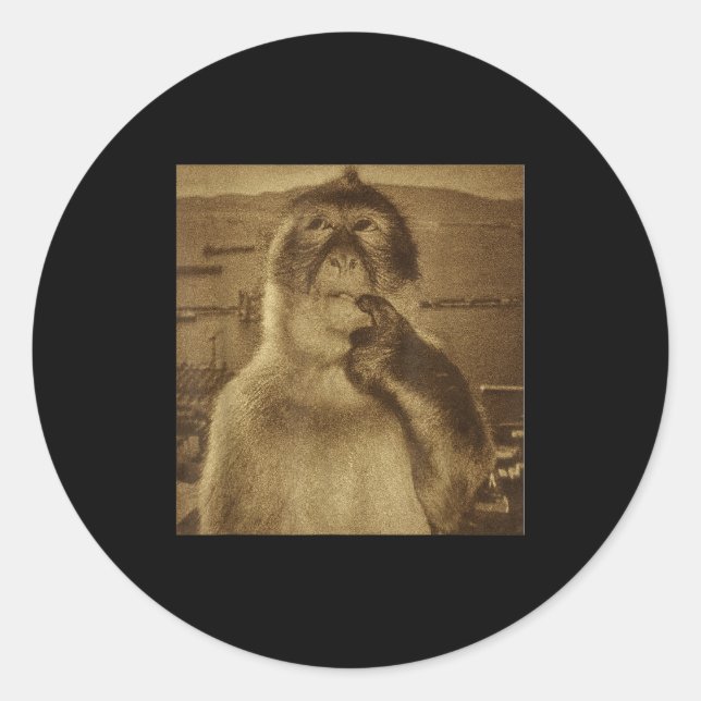 Thinking Monkey Meme Vintage Retro  Runder Aufkleber (Vorderseite)