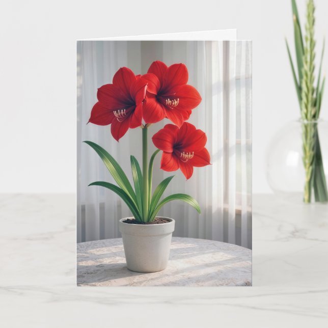 Thinking of You Blooming Red Amaryllis  Karte (Vorderseite)