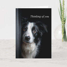 Thinking of You Border Collie Karte