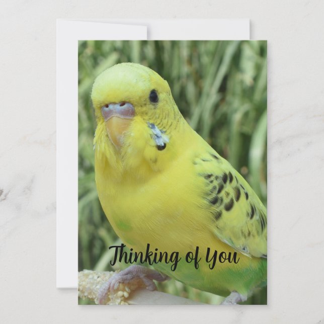 Thinking of You card Einladung (Vorderseite)