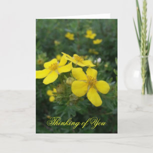Thinking of You Card Karte
