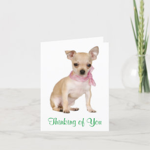 Thinking of You Chihuahua Puppy Dog Greeting Card Karte