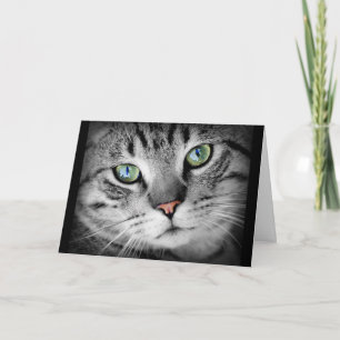 Thinking of You Cute Gray Kitty Cat Card Karte