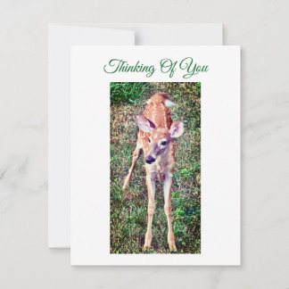 Thinking Of You Flat Note Card With Fawn Mitteilungskarte