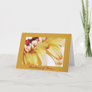 Thinking of You. Karte