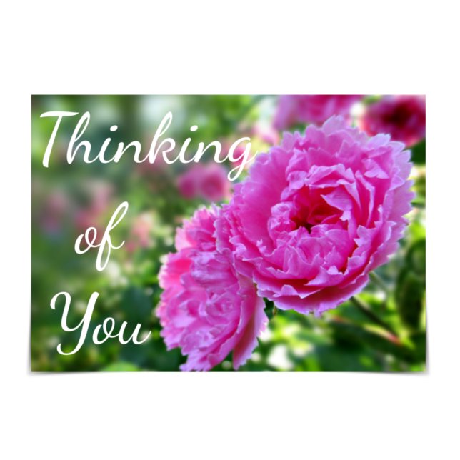 Thinking of You Pink Roses Card Karte (Von Creator hochgeladen)