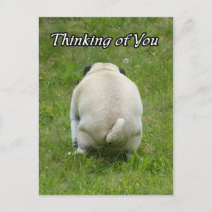 Thinking of You Pug Going the Bathroom Postkarte