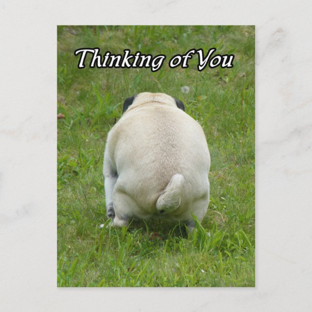 Thinking of You Pug Going the Bathroom Postkarte (Vorderseite)