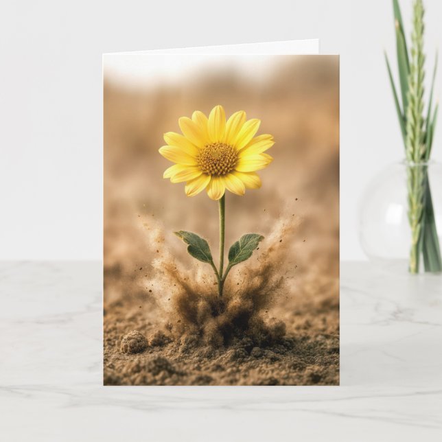 Thinking of You Yellow Daisy In Dirt Karte (Vorderseite)