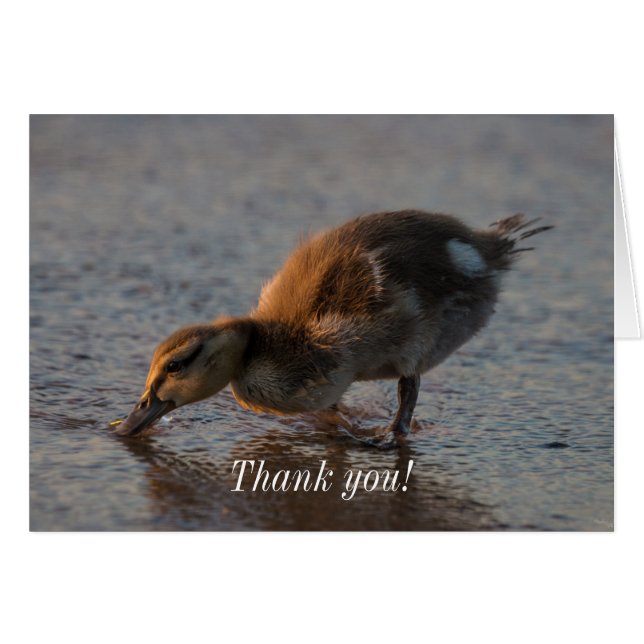 Thirsty Baby Danke-Card (Vorderseite (Horizontal))