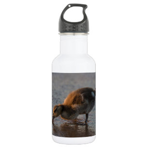 Thirsty Baby Trinkflasche
