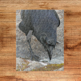 Thirsty Crow trinkt Puzzle