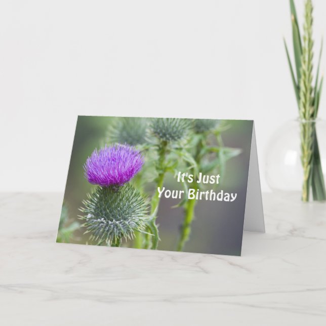 Thistle Birthday Card Karte (Vorderseite)