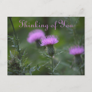 Thistle Blume Denken Sie an Postkarte