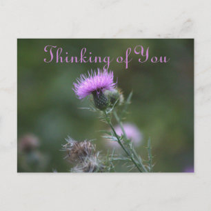 Thistle Blume Denken Sie an Postkarte
