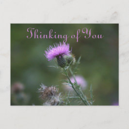 Thistle Blume Denken Sie an Postkarte