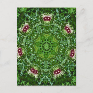 Thistle Buds Postkarte