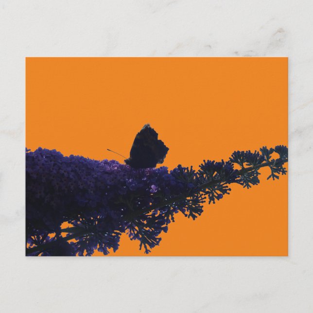 Thistle Butterfly on Butterfly Bush DIY Postcard Postkarte (Vorderseite)