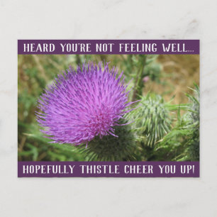 Thistle Chee up Get Well Postcard Postkarte