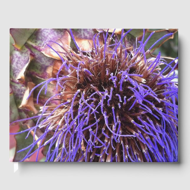 Thistle Fotografic Gästebuch (Vorderseite)