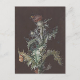 Thistle mit Insekten 1755 Johann C. Dietzsch Postkarte