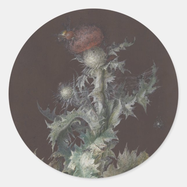 Thistle mit Insekten 1755 Johann C. Dietzsch Runder Aufkleber (Vorderseite)