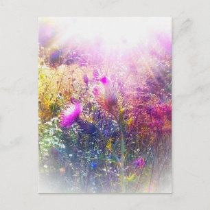 THISTLE POSTCARD POSTKARTE