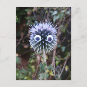 Thistle tun gut ... postkarte
