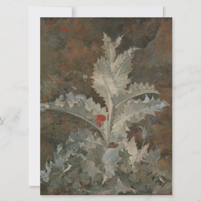 Thistle (von John Crome) Karte (Vorderseite)